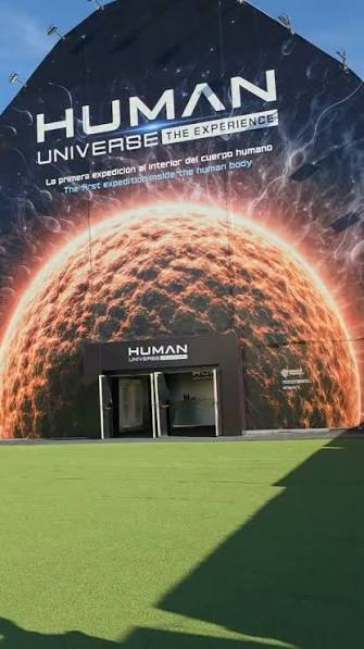 HUMAN UNIVERSE  4ºPRIMARIA  30/10