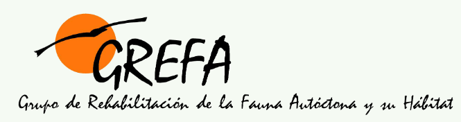 1º ESO Visita GREFA